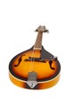 new mandolin
