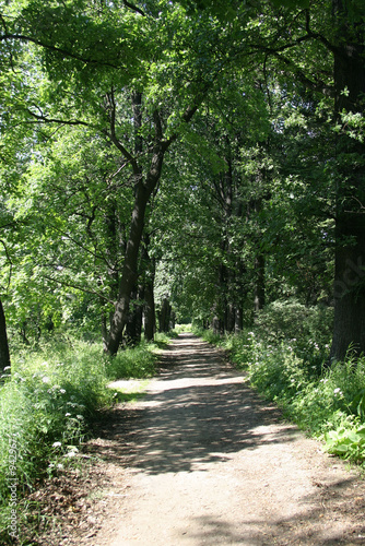 alley in the park