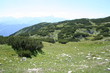 berglandschaft