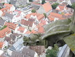 ulmer münster