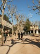 saint-paul-de-vence