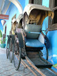 rickshaw front view