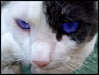 dscf2839