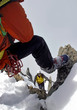 la jambe et l'arête la jambe et l'arête
