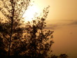 friede am morgen friede am morgen