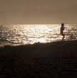 malibu beach
