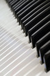 piano keys piano keys