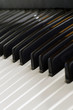 piano keys piano keys