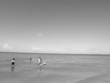 open sky