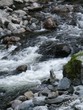 vancouver salmon ladder waterfall#3