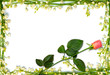 love letter background