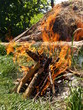 fire