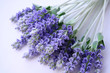 lavender lying on table