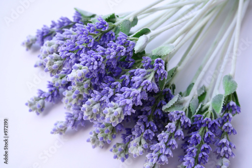 lavender lying on table
