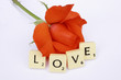 love rose