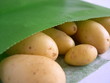 pommes de terre