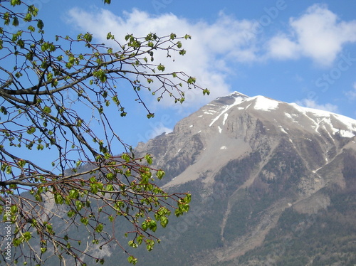 queyras
