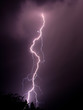 lightning 5