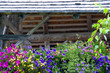 blumen vor der hütte