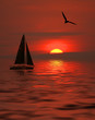 golden sunset