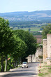 vieille france