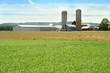 green field and farm