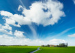 summer landscape summer landscape