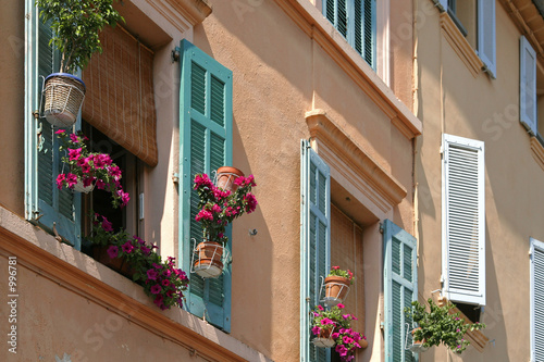 volets fleurs fenetre