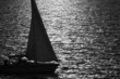 sailing