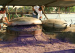 distillation distillation