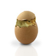 easter