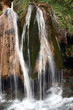 cascade sur mousse