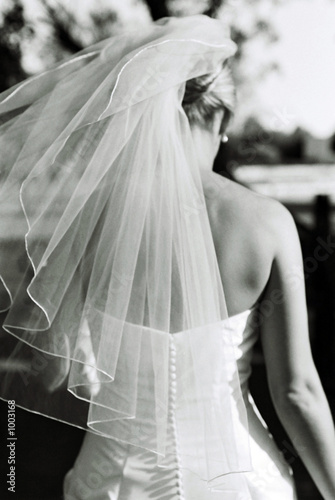 Photo: veil blowing in the wind veil blowing in the wind