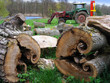 bois coupe avec tracteur