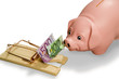 cochon tirelire et piège à souris détourée 15 cochon tirelire et piège à souris détourée 15