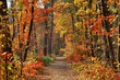 Photo: colors of fall colors of fall