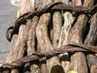 bundle of firewood