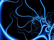 fractal octopus fractal octopus