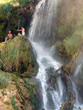 joy in nature