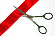 cutting ribbon cutting ribbon