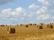 paysage de campagne