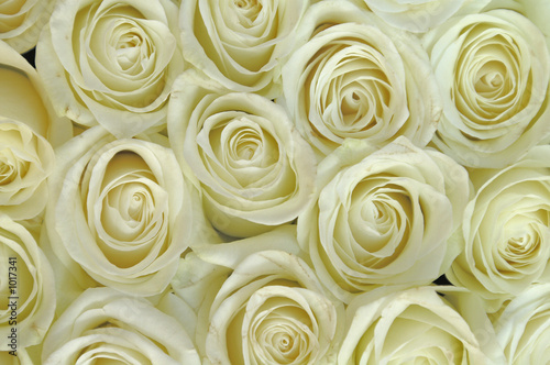 white flowers