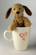 puppy in cup