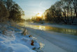 golden-silver of russian winter