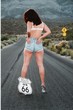 the lost highway