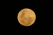 yellow moon