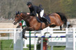Photo: raussin pierre et jackpot d'es raussin pierre et jackpot d'es