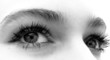 yeux