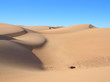 le desert de l'adrar le desert de l'adrar