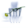 fork and flower